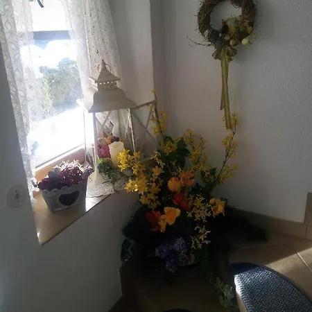 Hotel Haus Regner *